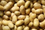 Несколько фактов о картофеле. Правила и рецепты приготовления блюд из картошки.